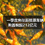 一季度免征新能源车辆购置税超212亿元