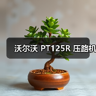 沃尔沃 PT125R 压路机