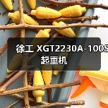 徐工 XGT2230A-100S 起重机