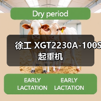 徐工 XGT2230A-100S 起重机