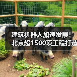 建筑机器人加速发展！北京超1500项工程打造智慧工地